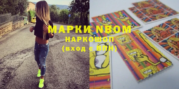 стафф Новозыбков