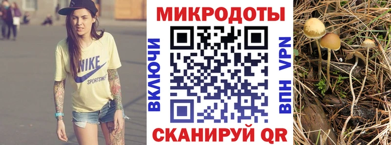 Галлюциногенные грибы мицелий  Суворов 